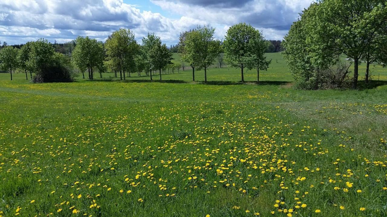 Appartamento Harzquartier Friedrichsbrunn Esterno foto