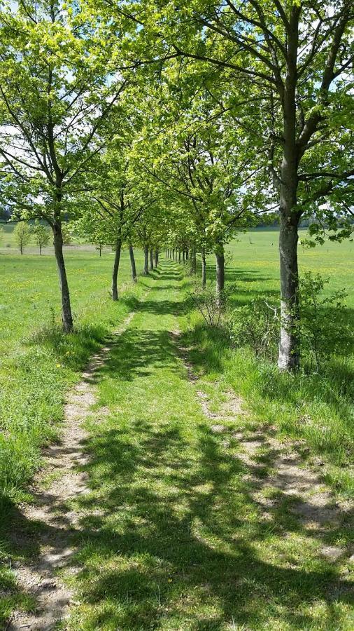 Appartamento Harzquartier Friedrichsbrunn Esterno foto