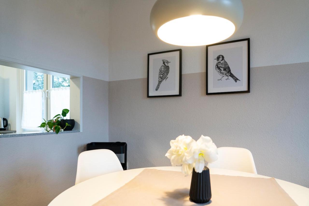 Appartamento Harzquartier Friedrichsbrunn Esterno foto