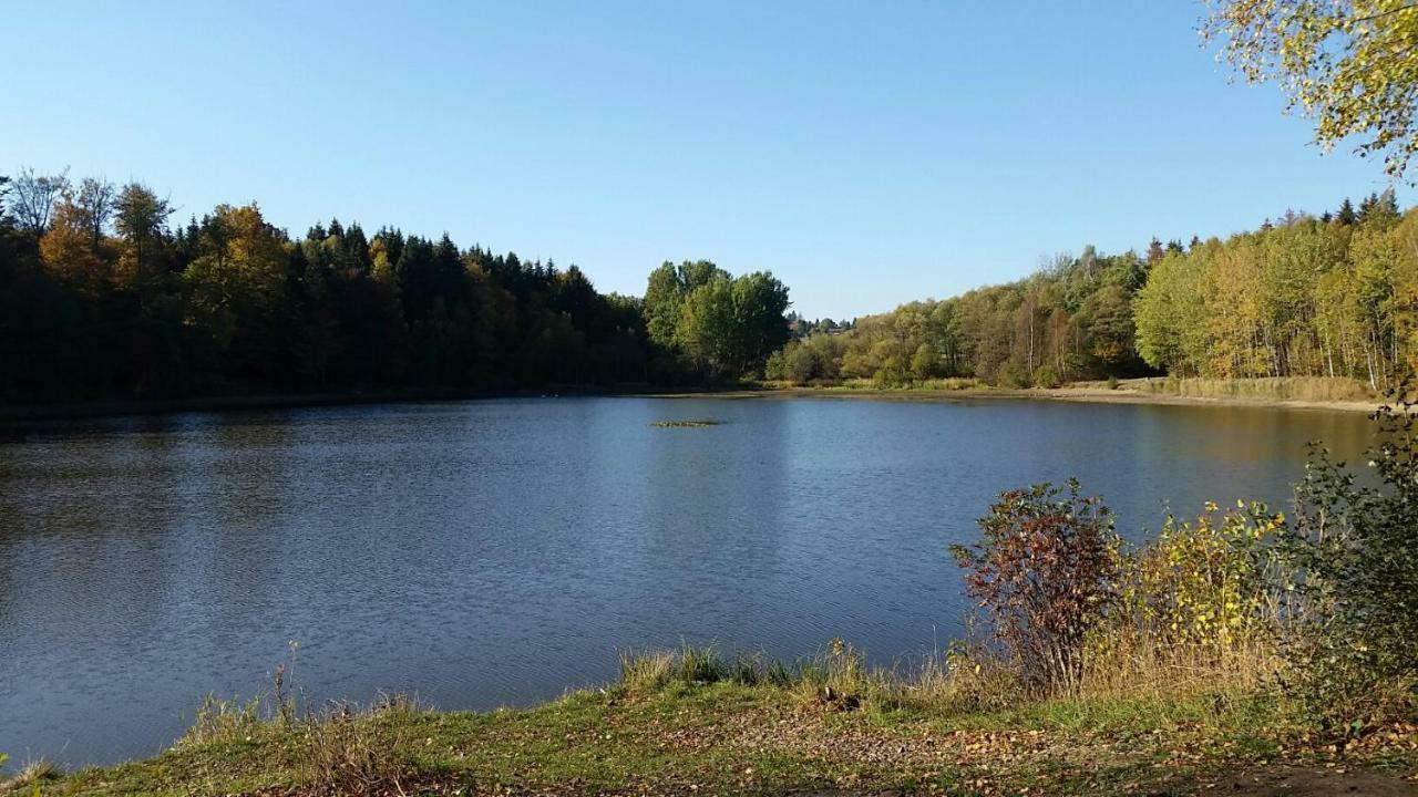 Appartamento Harzquartier Friedrichsbrunn Esterno foto